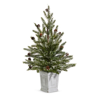 Snowy Pine Tree in Wht Box