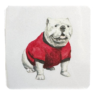 Bulldogs Paper Coaster Set