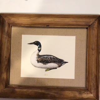 Framed Loon Duck
