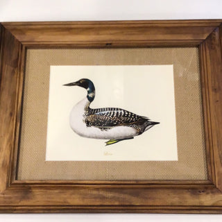 Framed Shelduck