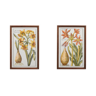 Daffodil Framed Wall Art