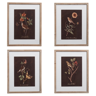 Botanical Bird Frames Print