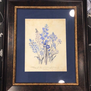 Blue Flower Framed Picture