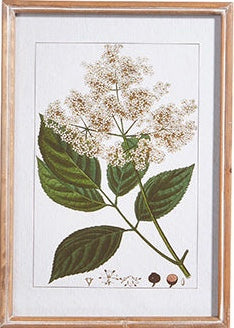 White Botanical Framed Art