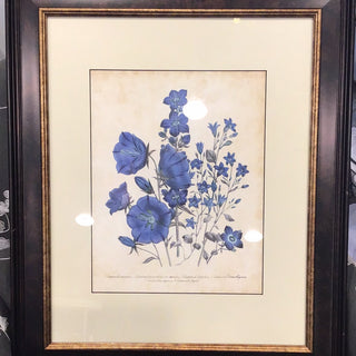 Large Blue Floral Framed Picture